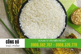 Dịch vụ công bố chất lượng nông sản như gạo, hồ tiêu, ngũ cốc, bột bắp, bột mì theo quy định mới